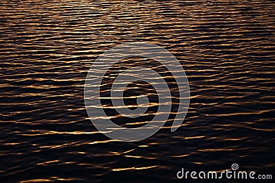 Ripples on water surface during sunset