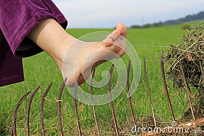 Risk of injury during agricultural work