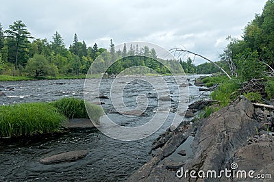 River and Forest in Jay Cooke State Park