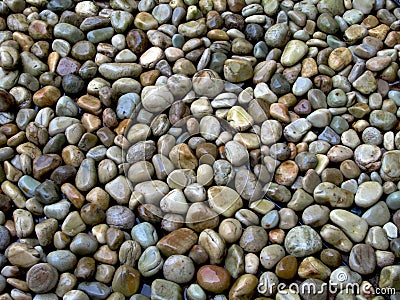 River Stones / Pebbles