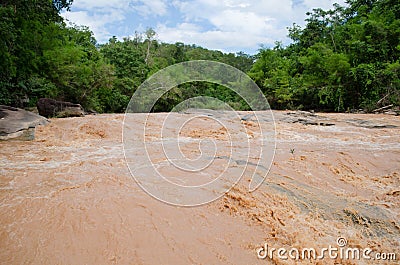 River in tropical rain forest