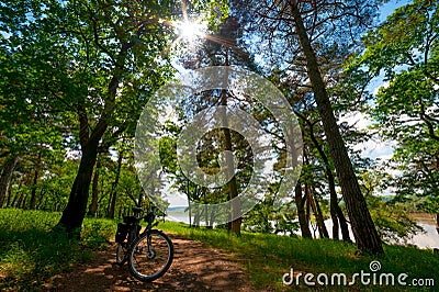 Road bicycle on the rural road in the forest