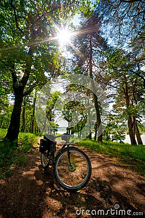 Road bicycle on the rural road in the forest
