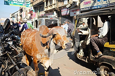 On the road in India