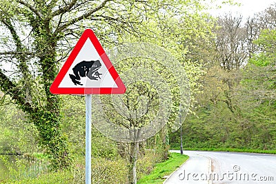 Road sign - caution frogs on the road 1