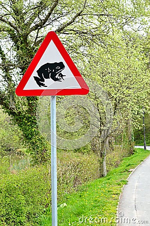 Road sign - caution frogs on the road 2