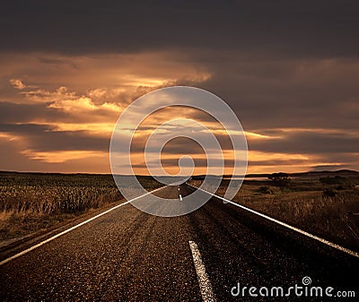Road and The Sunset