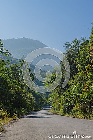 The road to mountain