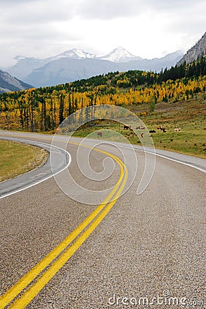 Roadside pasture