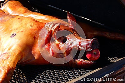 Roast Pig