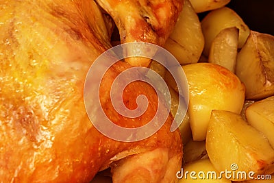 Roast or roasted chicken