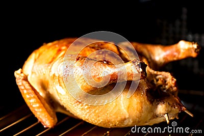 Roasted chicken in oven