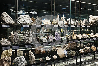 Rock and minerals at Planets vida exhibition. Museu Blau