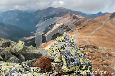 A rock in mountains