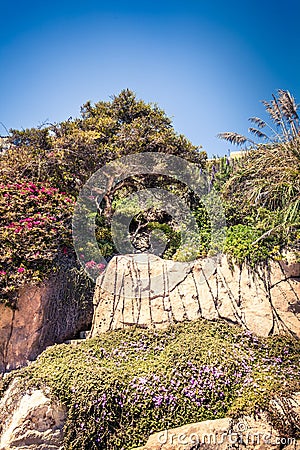 Rocky cliffs coast with green trees and ivy flowers