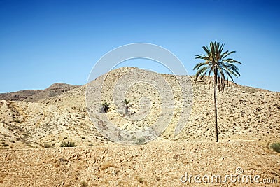 Rocky desert in southern Tunisia