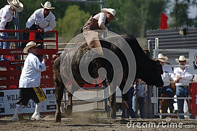 Rodeo: Bull Fighting