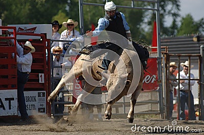 Rodeo: Bull Fighting