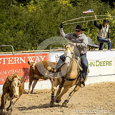 Rodeo competition in ranch roping