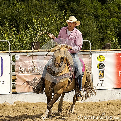 Rodeo competition in ranch roping