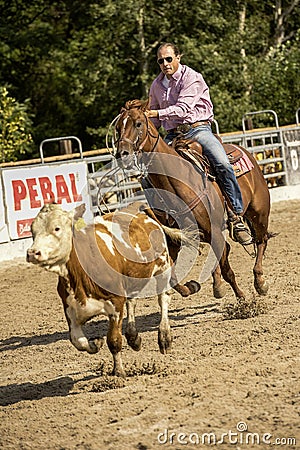 Rodeo competition in ranch roping