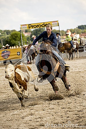 Rodeo competition in ranch roping