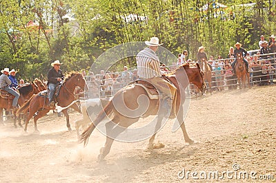 Rodeo show