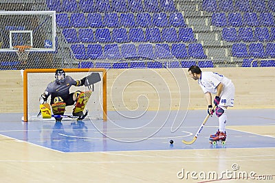 Inline hockey rink business plan