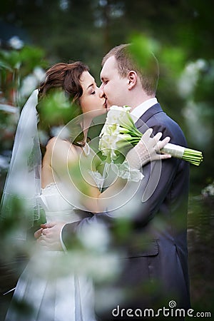 Romantic kiss bride and groom through the foliage