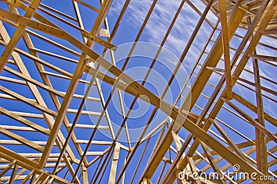 Roof Framing of New Home Construction
