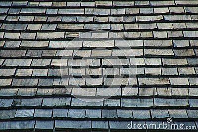 Roof Texture