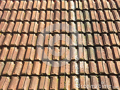 Roof tile texture