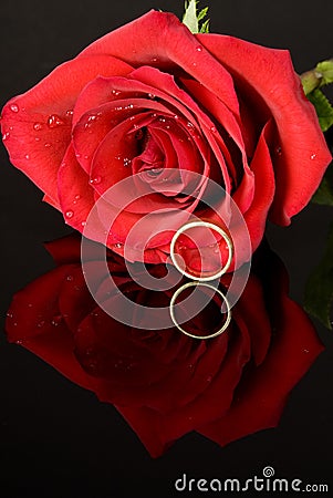 clipart rød rose - photo #44