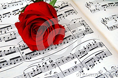 Rose and music book