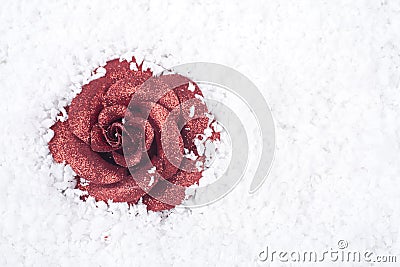 Rose ornament covered with snow