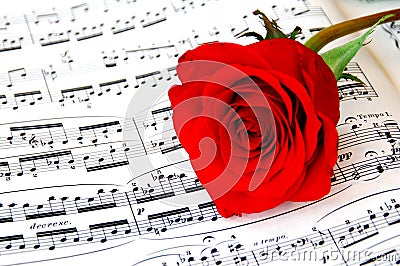 Rose and piano music 2