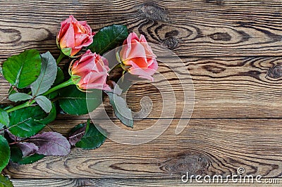 Roses on rustic table