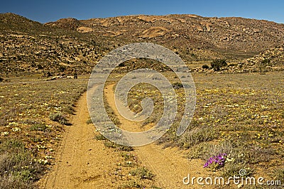 Rough road with lanes for offroad vehicles