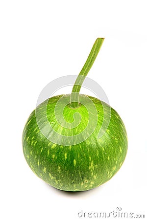 Round Gourd Royalty Free Stock 