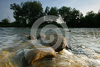 Rounded stones in the river