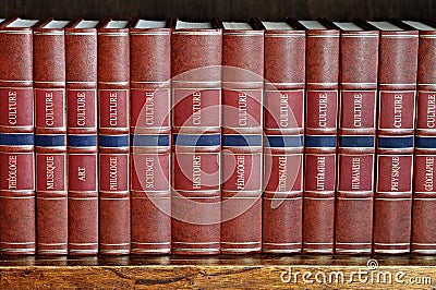 Row of books on a shelf with titles in French