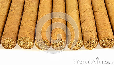 Row of cuban cigars