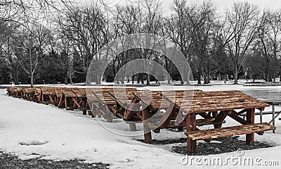 Row of Red Picnic Tables in the Snow