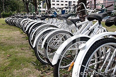 A row of rental bikes