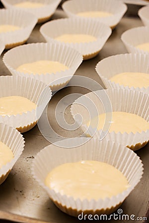 Rows of unbaked cup cakes lined up