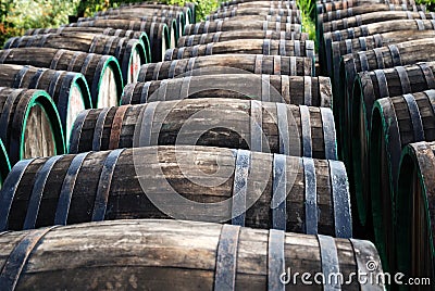 Rows of wine oak barrels lying