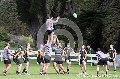 Rugby in New Zealand