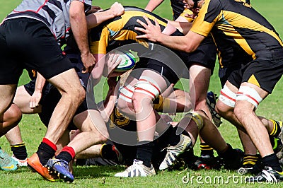 Rugby in New Zealand