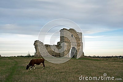 Ruined cossack gate and grazing cow