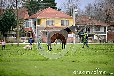 In rural areas, children who love animals